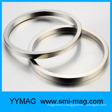Best selling neodymium ring magnet,earrings shape magnet